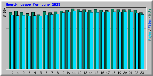 Hourly usage for June 2023