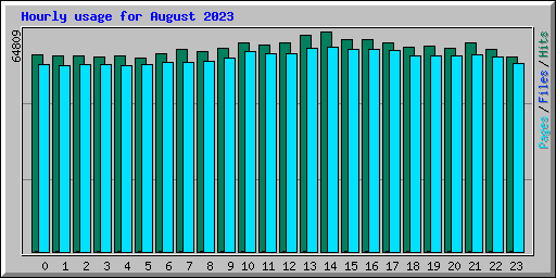 Hourly usage for August 2023