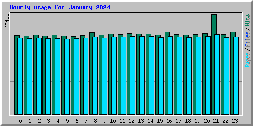 Hourly usage for January 2024