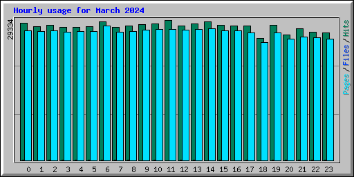 Hourly usage for March 2024